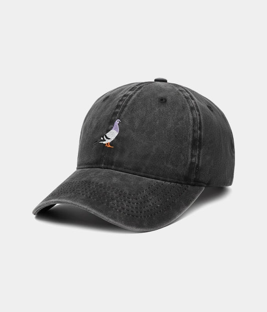 WASHED PIGEON